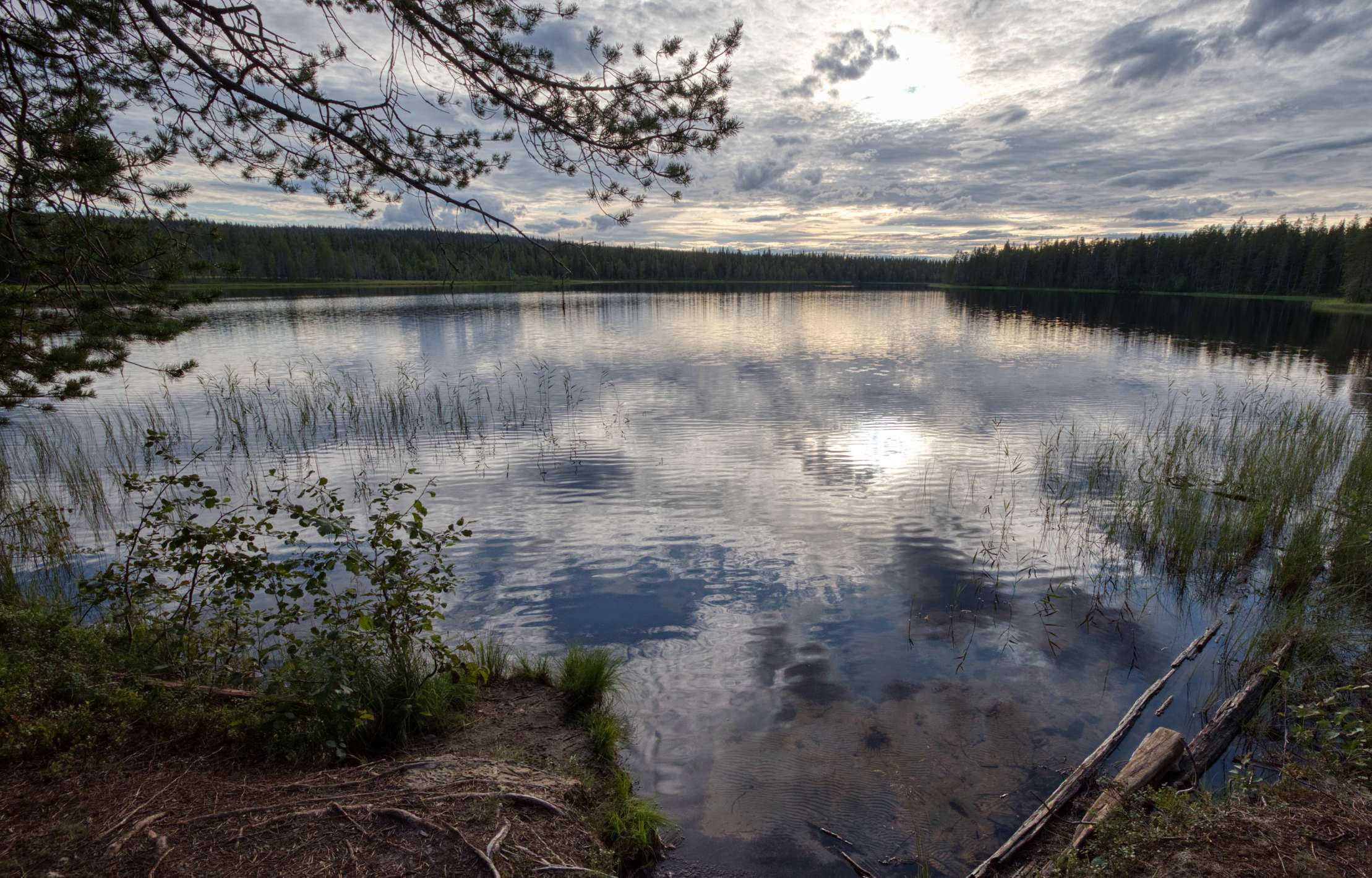 Kaksi retkeä uudessa Sallan kansallispuistossa - Kotona ikimetsässä  -retkiblogi